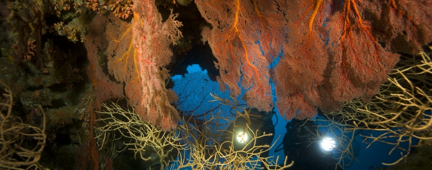 Plongeurs dans la grotte de Hienghène, Nouvelle-Calédonie © Pascal Kobeh / Galatée Films