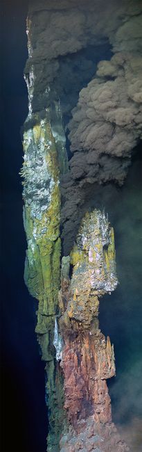 « Medea » (12 mètres de hauteur) fait partie des sources hydrothermales découvertes dans l’océan Pacifique. © Lucas Kavanagh, Établissement océanographique Woods Hole
