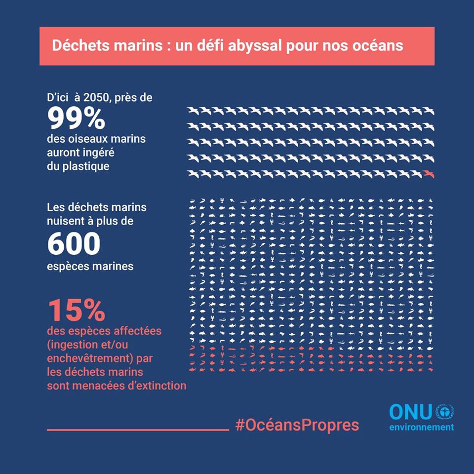 Déchets marins : un défi abyssal pour nos océans © ONU Environnement