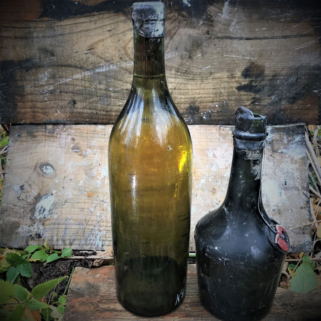 Bouteilles de cognac et de Bénédictine immergées durant plus de 100 ans. ©OceanX