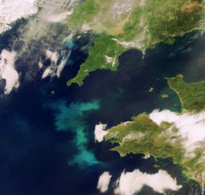 Observation satellitaire d'une efflorescence algale qui s'étend sur environ 420 km, depuis la côte de Wilford Haven au Pays de Galles (Royaume-Uni) jusqu'à une zone au large de Saint Guénolé en Bretagne (France). © ESA 2004