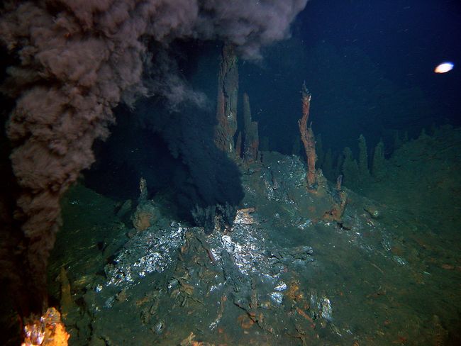 Cheminées hydrothermales sur le site de Lucky Strike © Ifremer/ Momar 2008