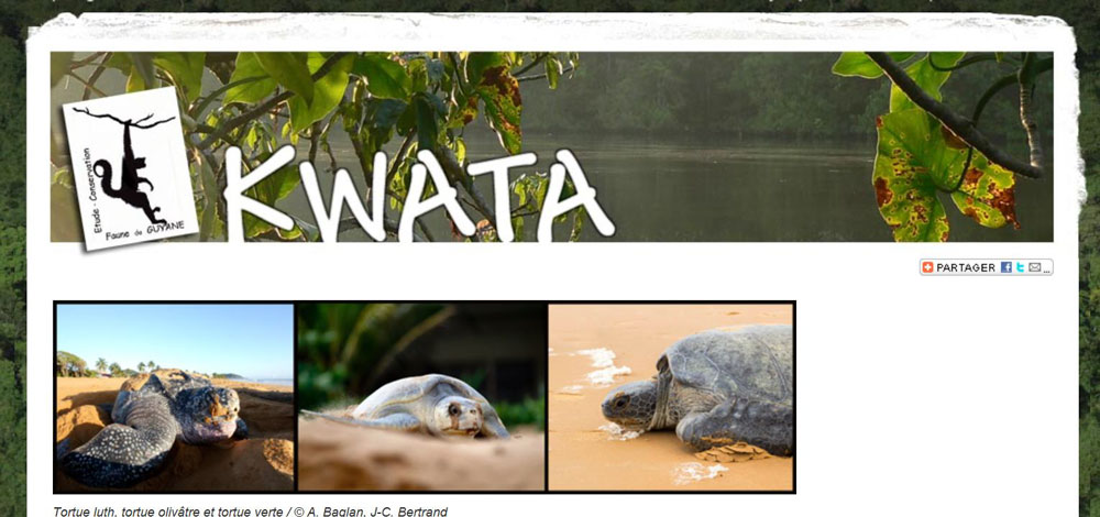 Kwata-Guyane