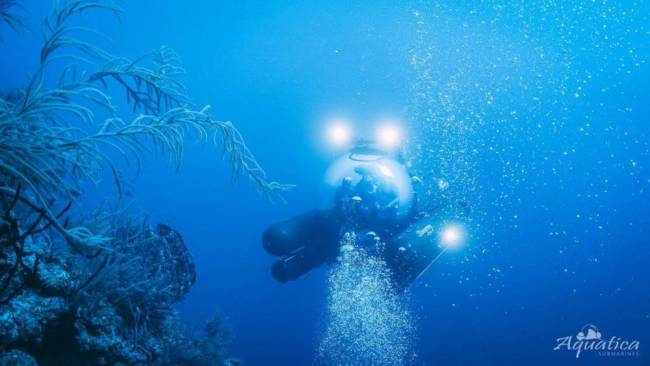 Le sous-marin Stingray © Aquatica Submarines_Thomas-Bodhi-Wade