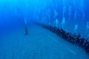 Record du monde de la plus longue chaîne sous-marine avec 110 plongeurs © Aline VD_http://www.meltyxtrem.fr/