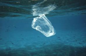 Sac plastique flottant dans l'océan © Ben Mierement, NOAA Photo Library